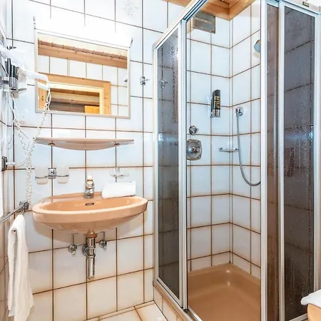 Rohregger Нойкирхен-ам-Гросфенедигер