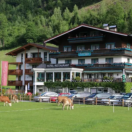 Rohregger Отель